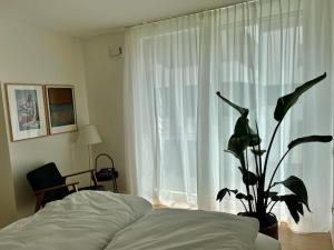 a bedroom with a bed and a plant in front of a window at Schickes 2-Zi-Apartment am Neckarufer im BUGA-Park in Heilbronn