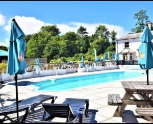 a swimming pool with chairs and blue umbrellas at Frankie's Holiday Lodge in Gunnislake