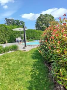 Het zwembad bij of vlak bij One bedroom house with shared pool enclosed garden and wifi at Hamois