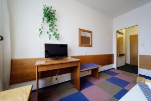 TV a/nebo společenská místnost v ubytování Hotel Peliny