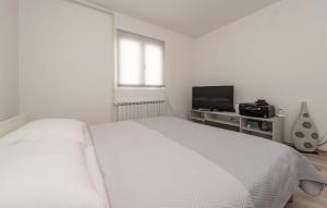 a white bedroom with a bed and a television at Beautiful Apartment In Potocnica in Potocnica