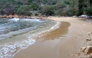 a sandy beach with water and trees in the background at Beautiful Apartment In Potocnica in Potocnica