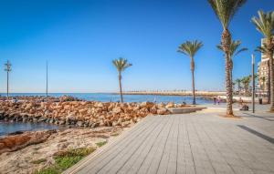 a boardwalk on a beach with palm trees and the ocean at Beautiful Apartment In Torrevieja in Torrevieja +14 photos