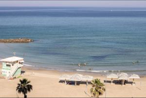 Зображення з фотогалереї помешкання Almog Tower у Хайфі