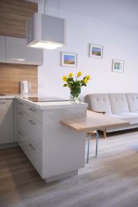 Nhà bếp/bếp nhỏ tại Mieszkanie Chrzanowska