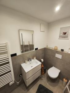 Bilik mandi di Ferienzimmer Geyersberg