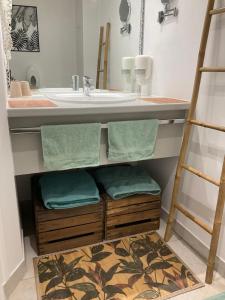 bagno con lavandino e bancone con asciugamani di Chambres d’hôtes de l’Ancienne Auberge a Thaon