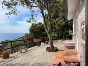 a patio with a bench and a tree on a hill at WildSunset in Monte Argentario