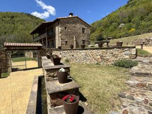 La Casassa de Ribes في ريب دي فريزر: مبنى حجري امامه بعض النباتات الفخارية