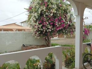 une brousse de fleurs roses et blanches sur un mur dans l'établissement A orillas del paraiso, à Playas