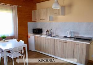 eine Küche mit einer Spüle, einer Mikrowelle und einem Tisch in der Unterkunft Michałówka Pokoje i Domki in Karłów