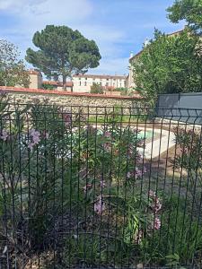 une clôture avec des fleurs roses dans un jardin dans l'établissement Gîte de charme la belle histoire, à Prades