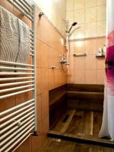 e bagno con doccia e cabina doccia. di Apartment Mila a Sarajevo
