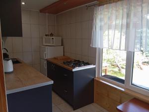 A kitchen or kitchenette at Domek u Heleny