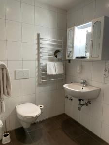 een witte badkamer met een toilet en een wastafel bij Hotel Alt Montjoie in Monschau