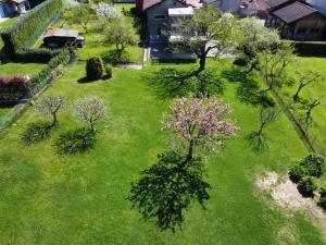 Eine Draufsicht auf einen Garten mit Bäumen und Gras in der Unterkunft Casa Levis in Biella