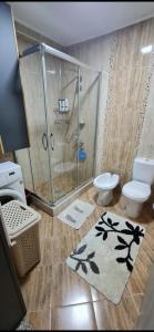 a bathroom with a shower and a toilet and a sink at Apartment Ortakovski in Skopje
