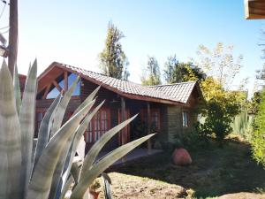 une petite maison en bois dans un jardin dans l'établissement CASA GUADALUPE SAN FELIPE, à San Felipe