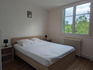 Schlafzimmer mit einem Bett und einem Fenster in der Unterkunft Grande maison avec extérieur, jacuzzi et billard in Vierzon