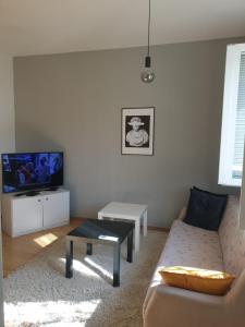 TV a/nebo společenská místnost v ubytování Novi Apartman 19