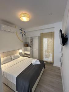 Un dormitorio con una cama grande y un televisor. en Apartamento Andalucía 33 Derecha, en Málaga
