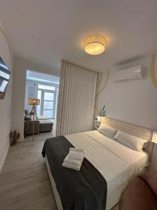 Un dormitorio con una cama grande en una habitación. en Apartamento Andalucía 33 Derecha, en Málaga