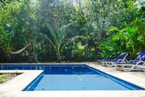 a swimming pool with two lawn chairs and trees at Villas Picalu Lodge in Puerto Aventuras