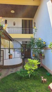 Zahrada ubytování Casa Luminița