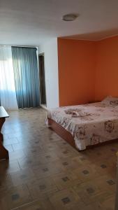 Postel nebo postele na pokoji v ubytování Casa Luminița