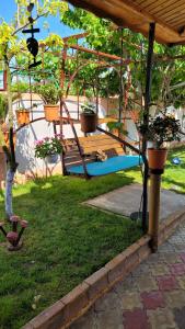 Zahrada ubytování Casa Luminița + 18 fotografií