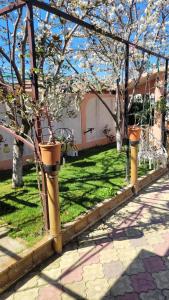 Zahrada ubytování Casa Luminița
