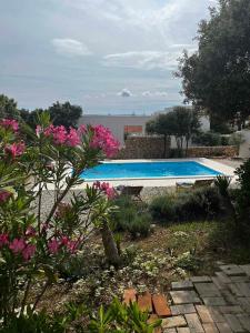 basen w ogrodzie z różowymi kwiatami w obiekcie Holiday Home Movica w mieście Mandre