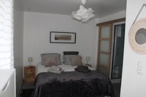um quarto com uma cama e um lustre em Chez Santia em Brinon-sur-Sauldre