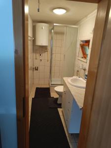 Ein Badezimmer in der Unterkunft Ubytovanie Hrabiny