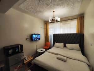 KikuyuSoft Life Crib in Kinoo with Wifi & Netflix的卧室里有一张床和一台电视机