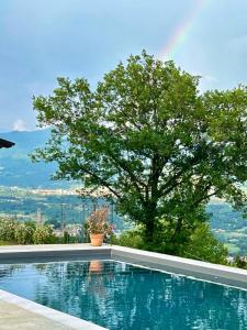 una piscina con un árbol en el fondo en Villa Lux en Poppi