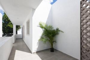 un pasillo con una planta en una pared blanca en Meridia 3, en Mérida 2 fotos más