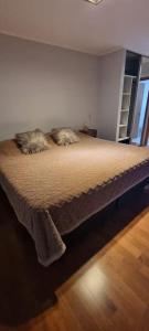 a bed with two cats laying on it in a room at Ushuaia 1 in Rosario