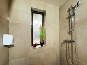 La salle de bains est pourvue d'une douche et d'une fenêtre ornée de plantes. dans l'établissement Venus Central Lux Studio, à Craiova