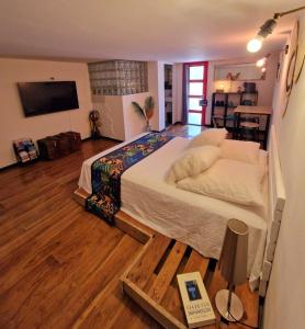 TV a/nebo společenská místnost v ubytování Chambre Deborah