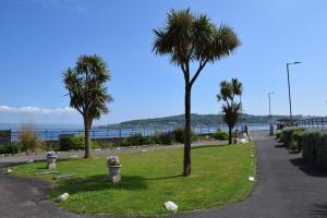 einen Park mit Palmen am Straßenrand in der Unterkunft One Marine Place in Port Bannatyne