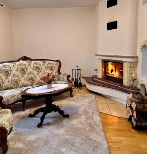 a living room with a couch and a fireplace at Apartament Mazurskie Ciepło in Mikołajki