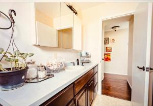 a bathroom counter with a sink and a potted plant at Cute Room! Own entry with fireplace in San Pablo