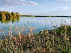 a large body of water with tall grass at Ferienwohnung Lina in Kronau