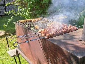 grill z masą mięsa na nim w obiekcie Poilsis Pas Tada w Druskienikach