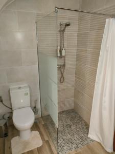 a bathroom with a toilet and a shower at A Lapa in Mourão