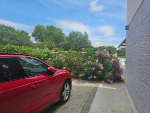 Zahrada ubytování Villa Loni Trogir Marina with pool 55 m2 - 3 e-bike free use