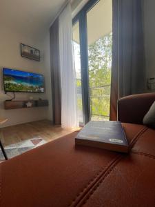 TV i/ili multimedijalni sistem u objektu Apartman Pino Divčibare