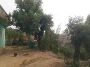 a dirt hill with trees and a view of a river at Ketama centre tynza in Et Tleta des Ketama