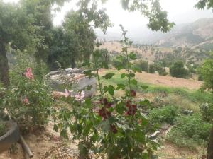 Galeriebild der Unterkunft Ketama centre tynza in Et Tleta des Ketama + 4 Fotos